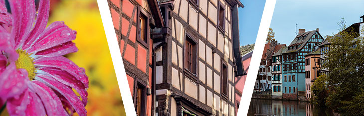 Fête des Chrysanthèmes à Lahr